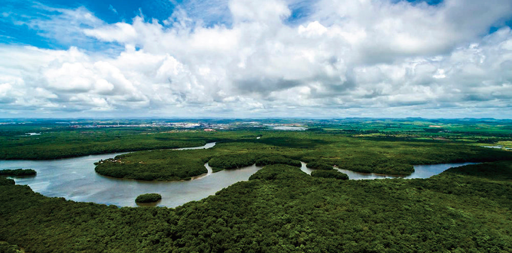 Viagem para Amazônia