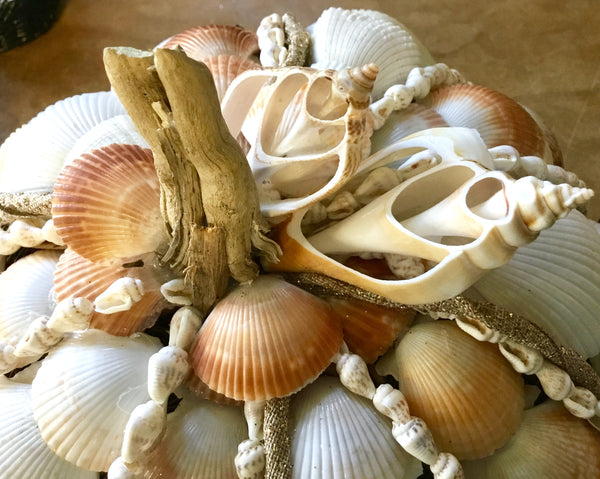 Seashell Harvest Pumpkin – Sea Things Ventura