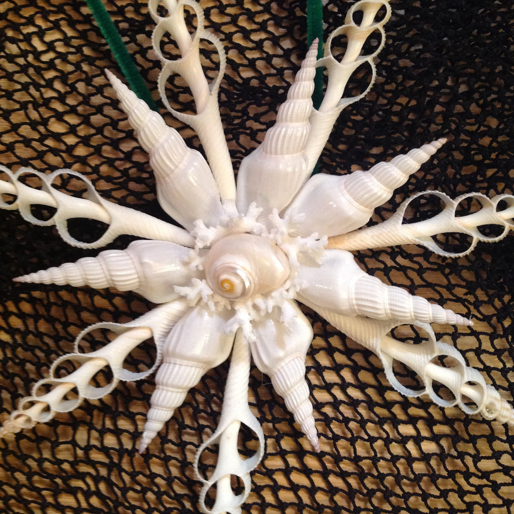 White Seashell Star Tree Top – Sea Things Ventura