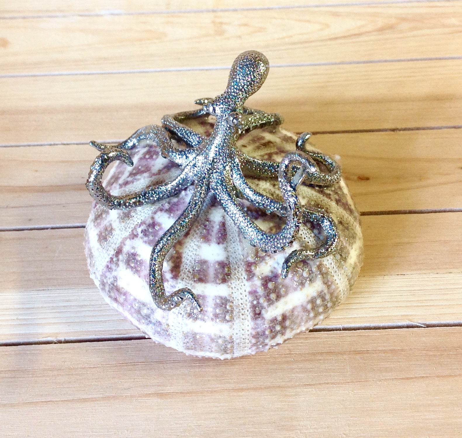 Silver Octopus Sea Urchin Shell Art Sea Things Ventura