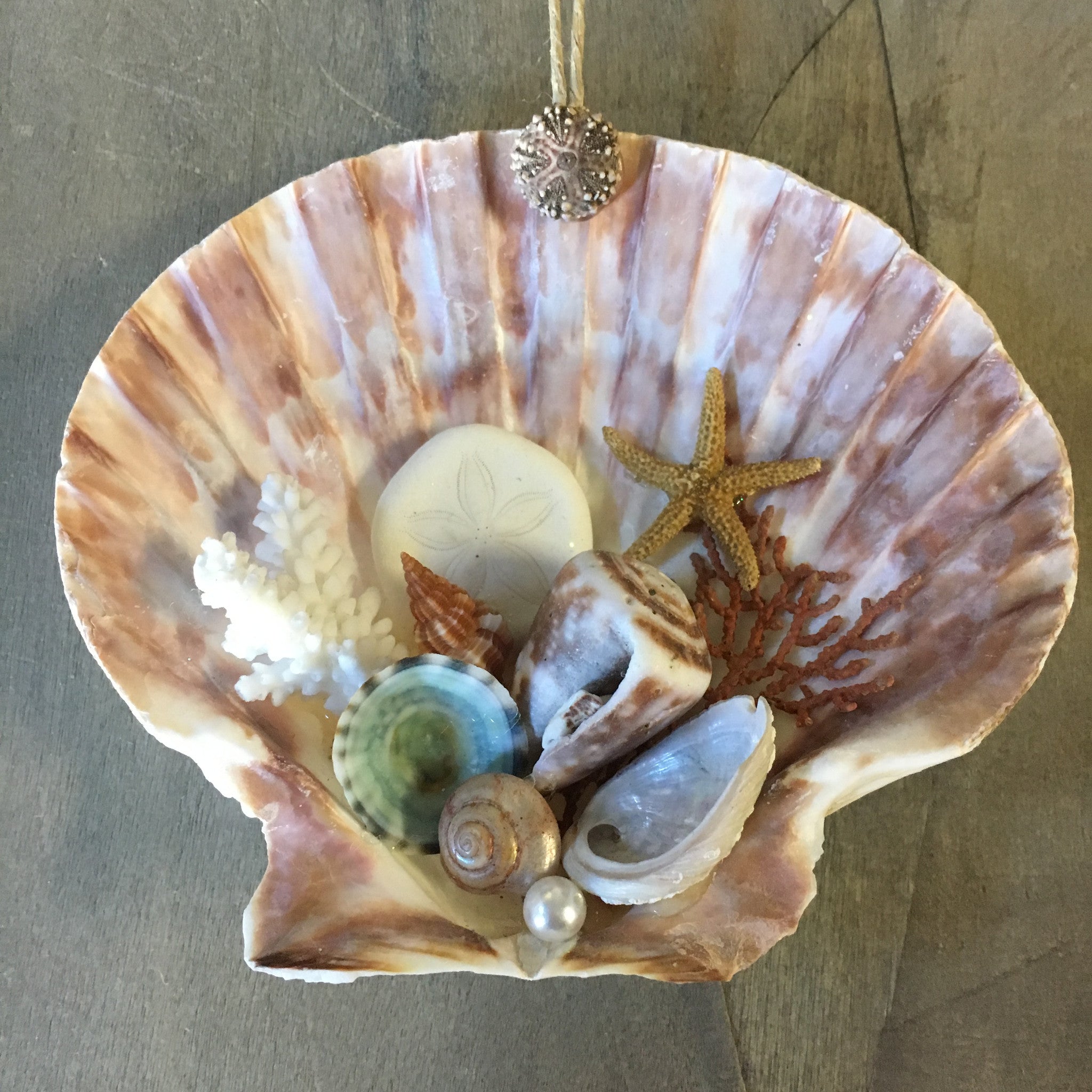 seashell christmas ornaments