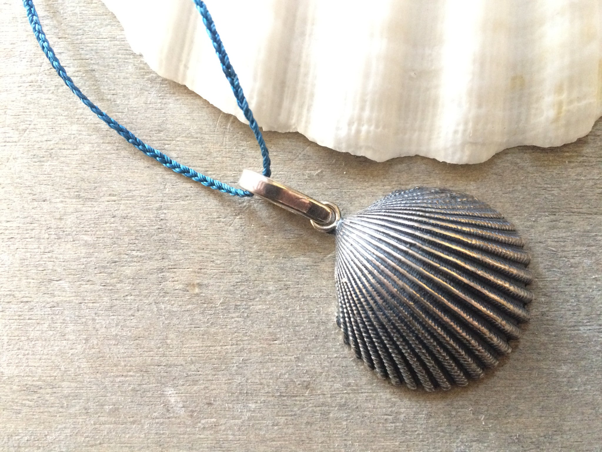 cockle shell necklace