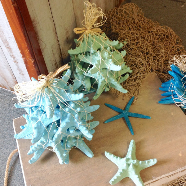 Colored Starfish Pack – Sea Things Ventura