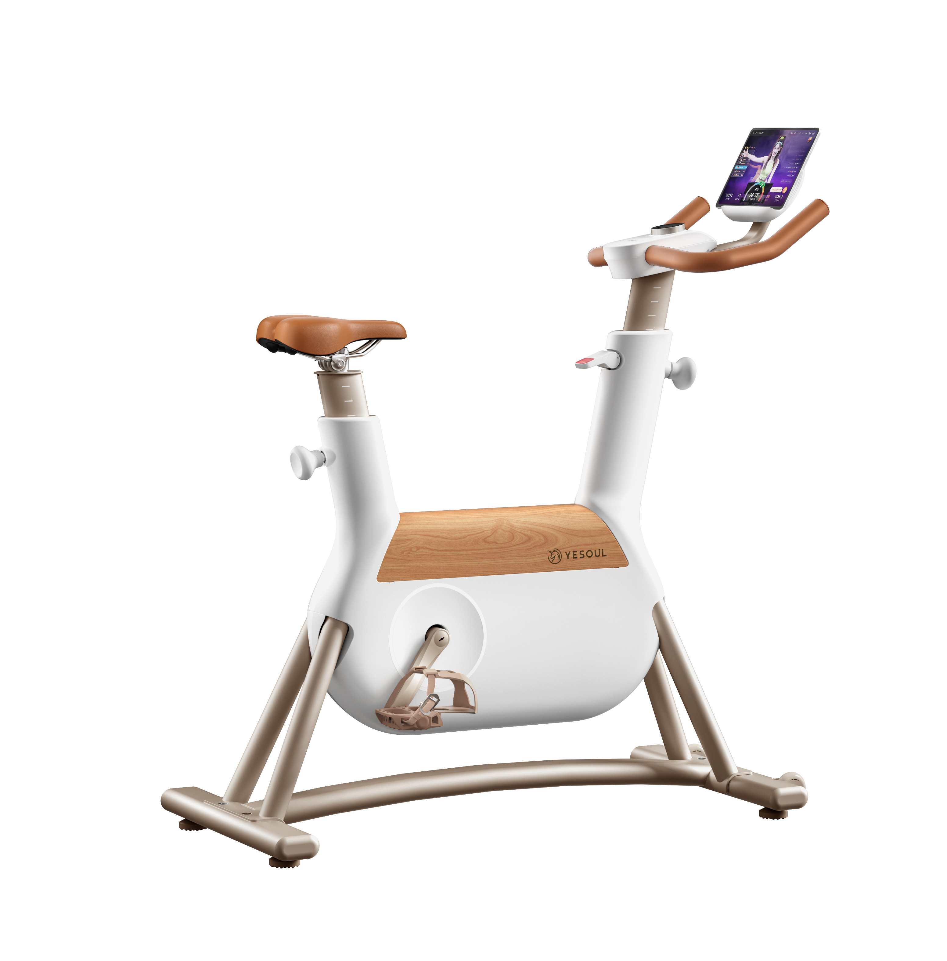 YESOUL R6 Indoor Exercise Bike - Yesoul Fitness Business product image