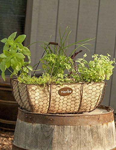 Rustic Herb Basket with Burlap Liner - 84270-6-2