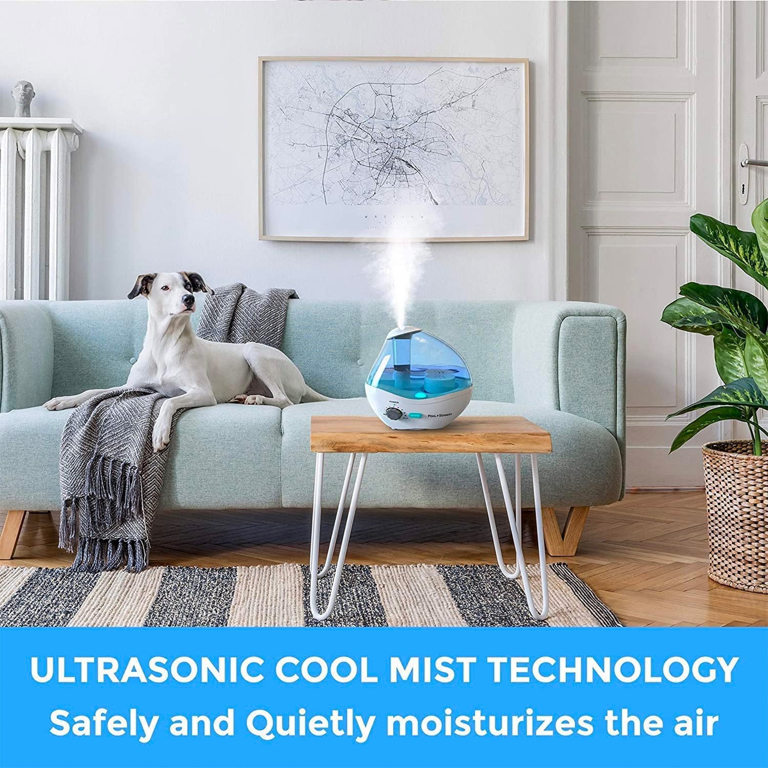 Whisper-Quiet Ultrasonic Viral Support Humidifier with Nightlight & Auto-Shut Off - 16 Hours Operating Time & Filter Included - POL010005N_20231127140909_ad6f0c9c-dc52-4978-88d8-442c84adbee0