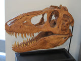This dinosaur looks friendly enough (in...</p>
    
  </div>

  <p><a href=