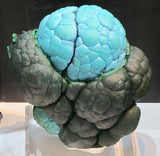 We nicknamed this malachite and turquoise "the brain"...