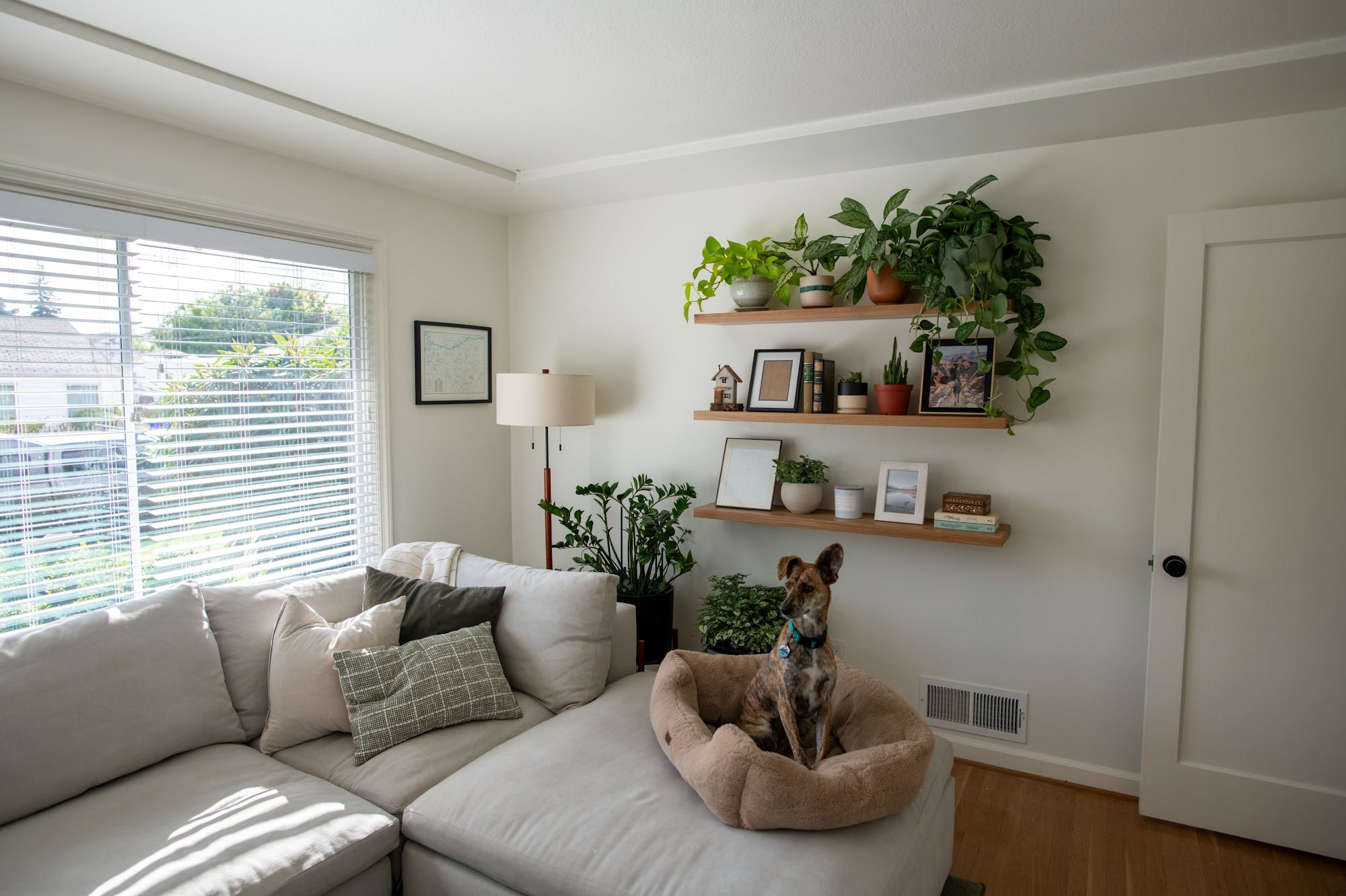 Space and organize your shelves to create an arrangement that is pleasing to the eye.