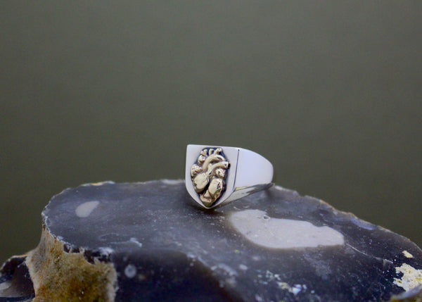 Shield signet wedding ring in sterling silver with 9k yellow gold anatomical human heart on the front