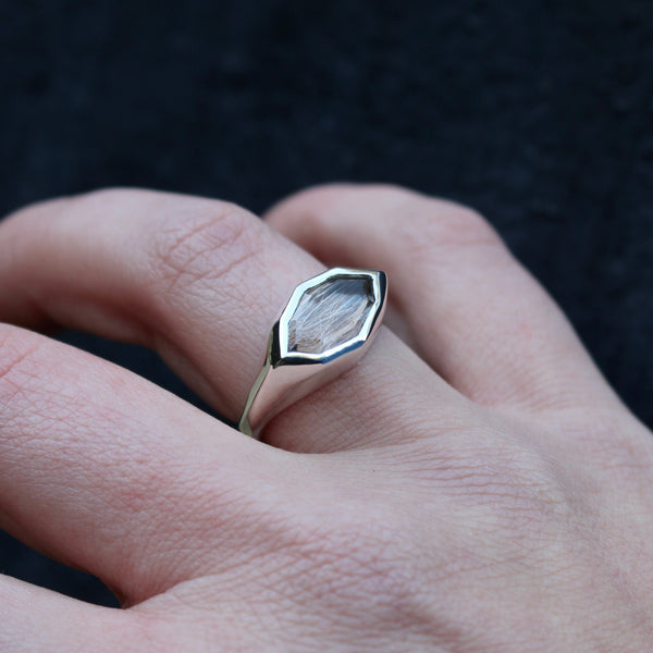 Memento Mori Mourning Ring with Dogs Hair