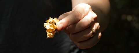 A hand offering honey comb with a bee on it