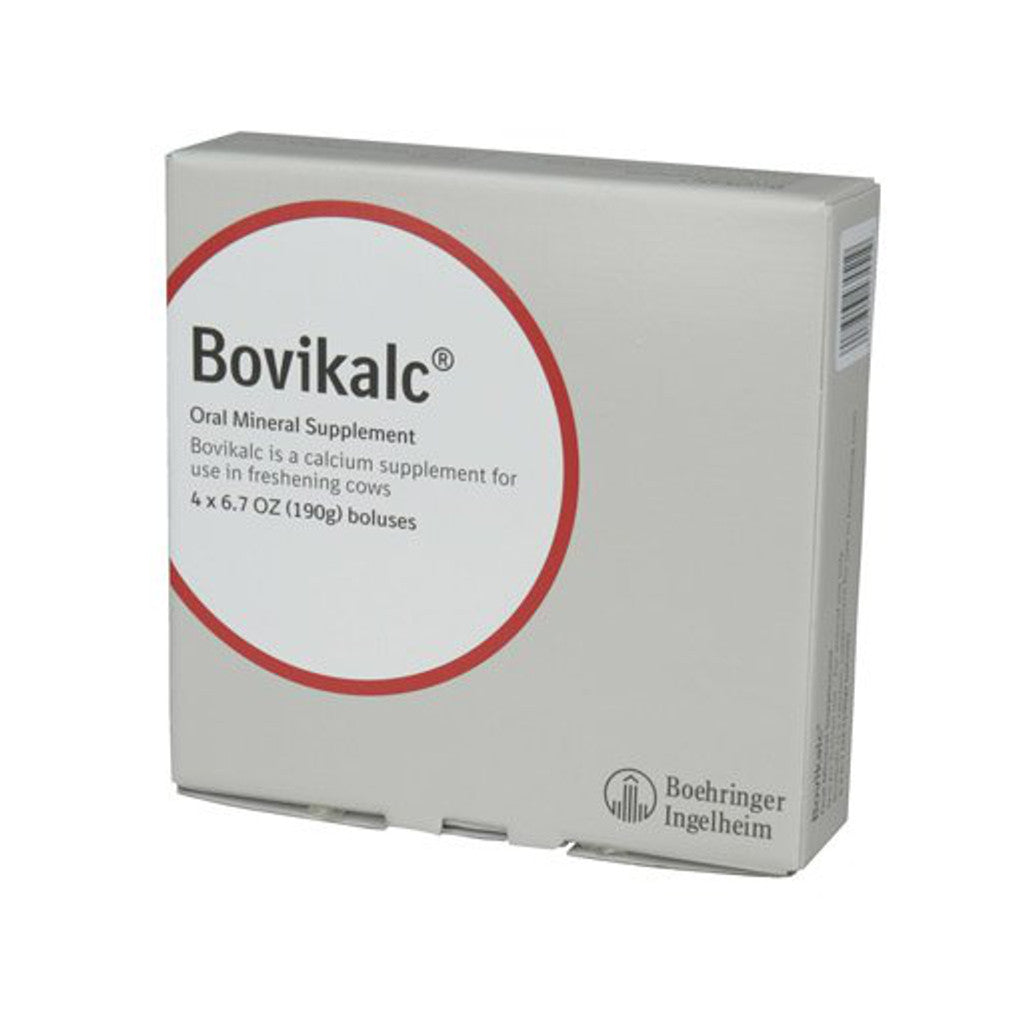 Oral Bolus 38