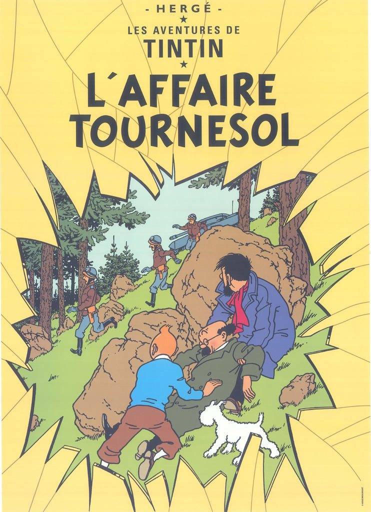 Puzzle en bois Tintin N°4 Le secret de la licorne TBE incomplet - Rue du  Labrador