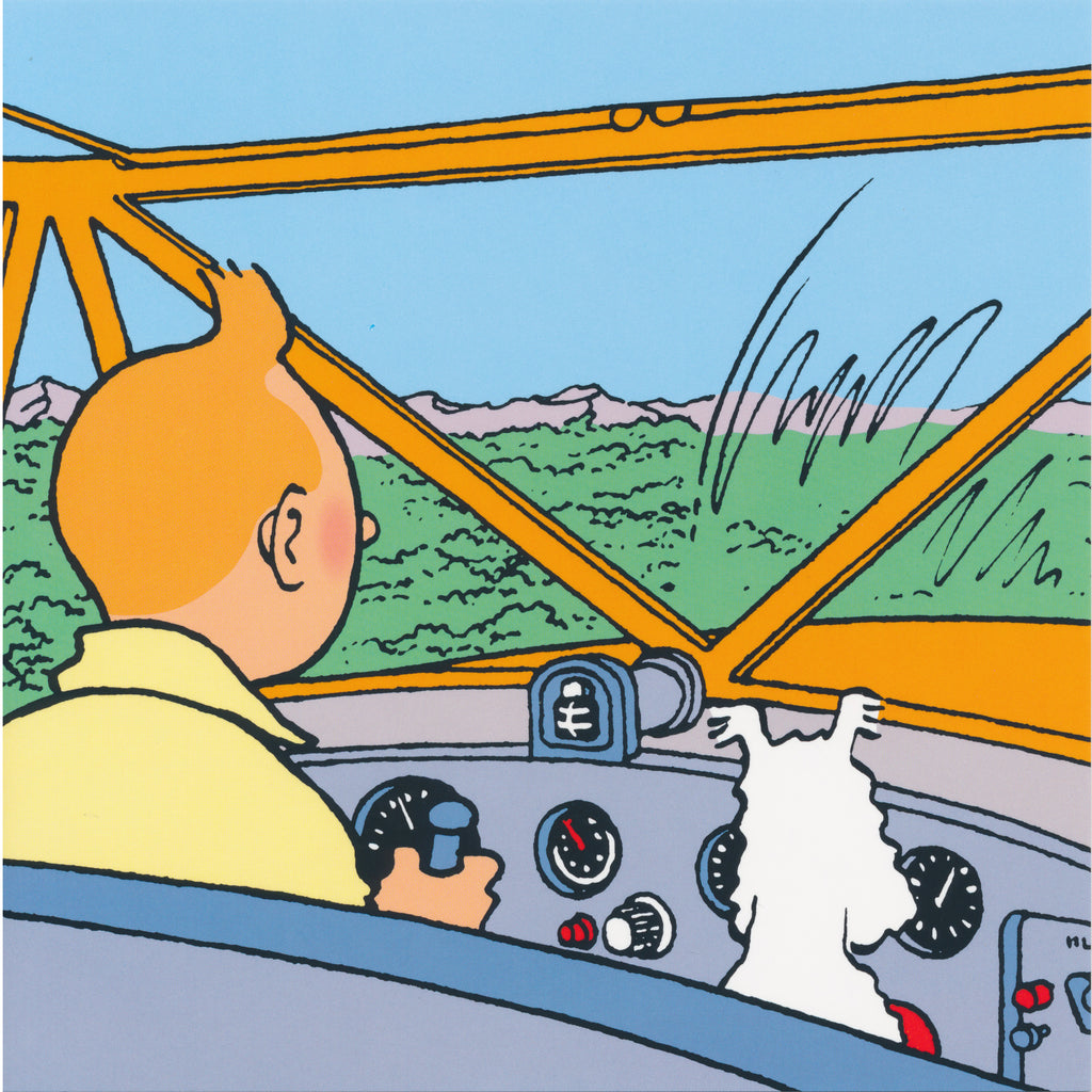 Tintin Avion Note Card #06