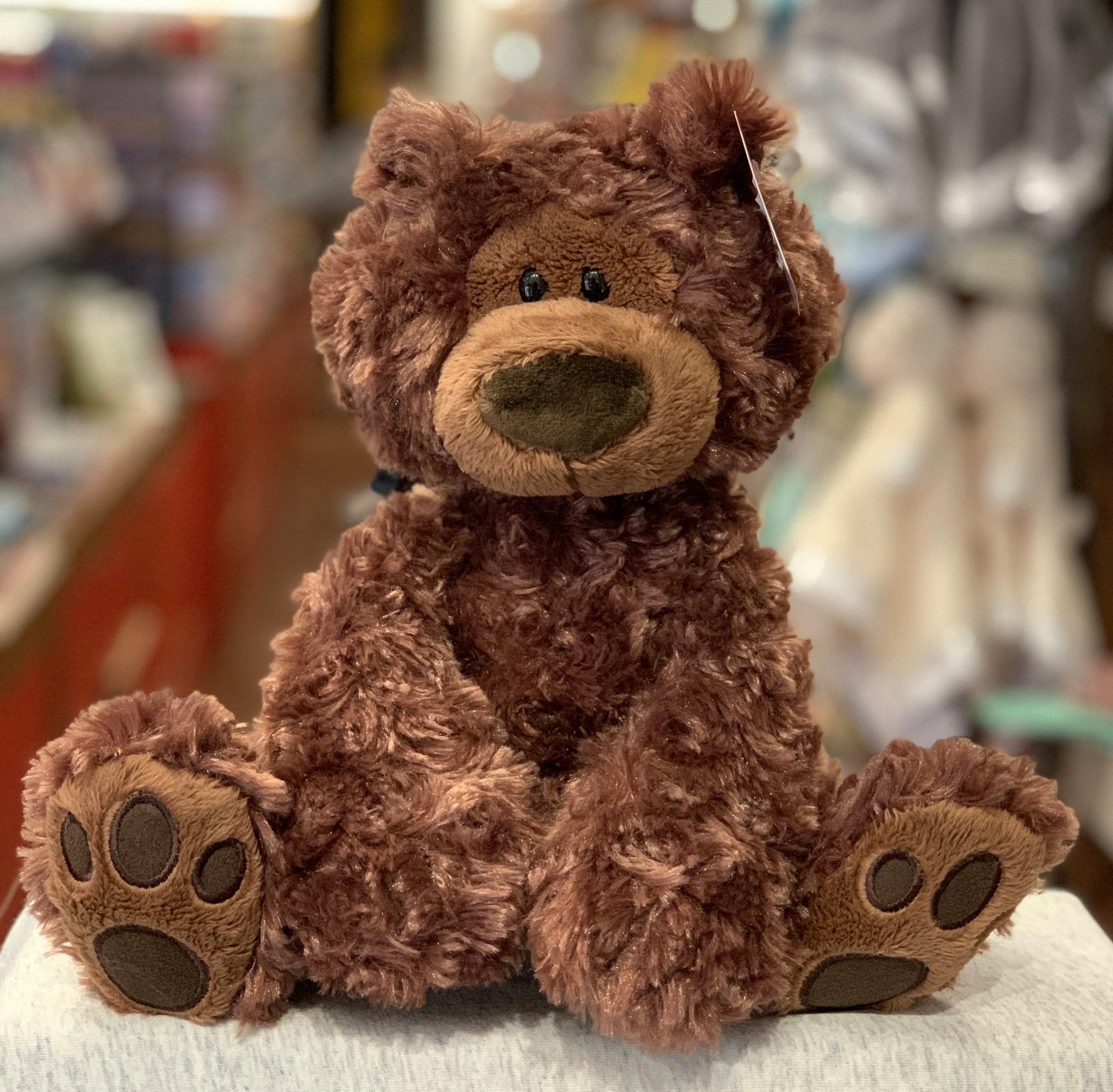 gund philbin chocolate bear