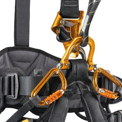 Petzl Astro International Front