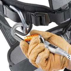 Petzl Astro International Side D