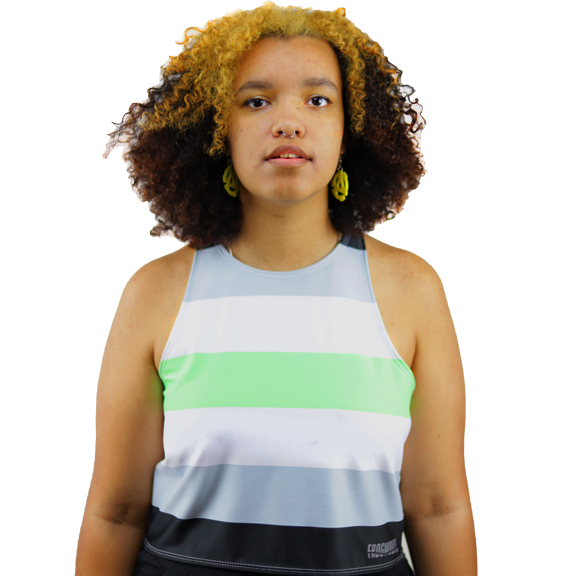 Pride Flags Relaxed Fit Crop – Frogmouth