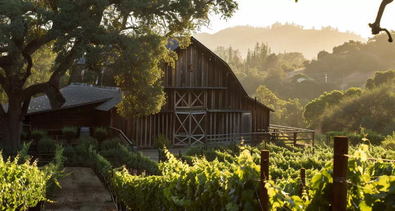 An image of a farm ranch's rustic barn beauty, perfect for a film and photography venue.