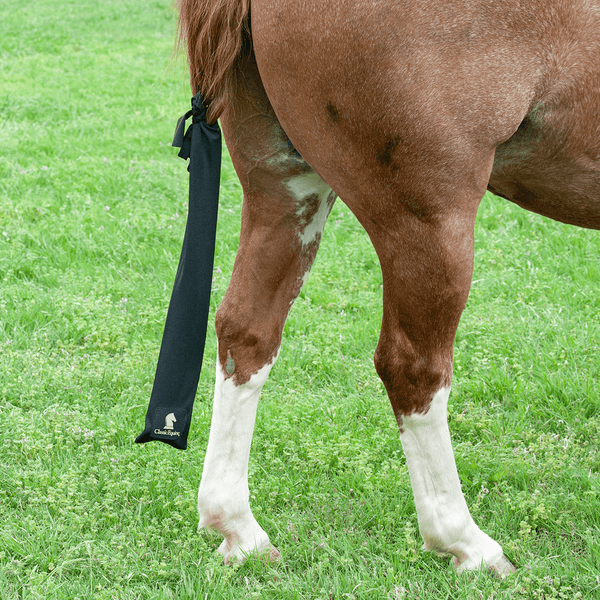 Cashel Horse Tail Bag Mesa