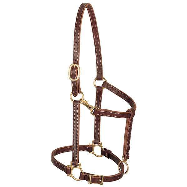 Chocolate & White Gator 3 Piece Bronc Halter Horse Tack 