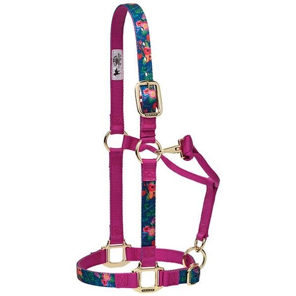 Cashel Flat Braid Bronc Halter