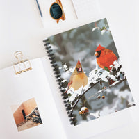 Cardinals Notebook