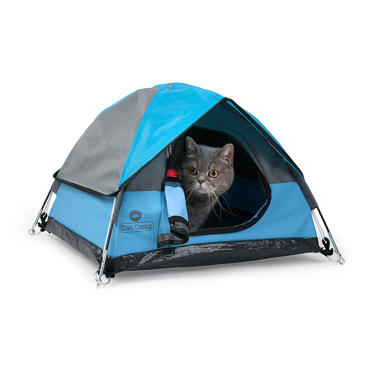 Cat Camp - The teeny tiny tent for 