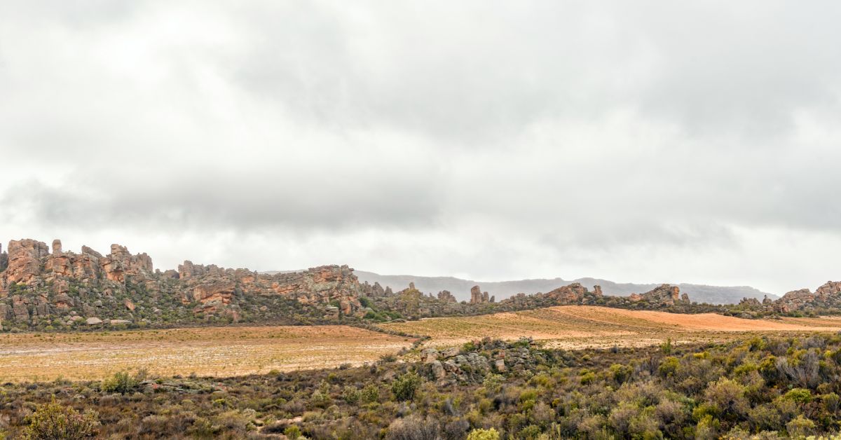 rooibos gin - Cederberg planting areas