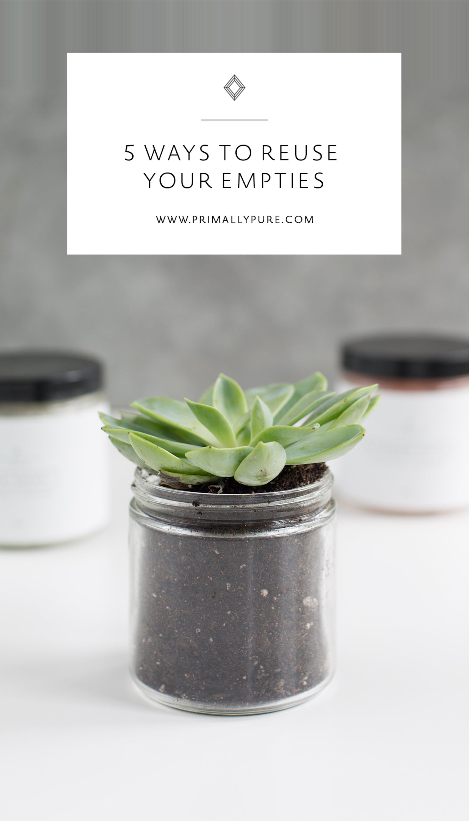 5 Ways to Reuse Your Empties Primally Pure