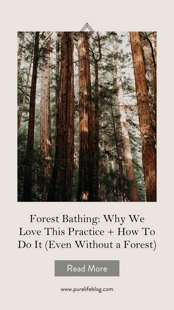 Forest Bathing: Why We Love This Practice + How To Do It (Even Without a Forest) | Primally Pure Skincare