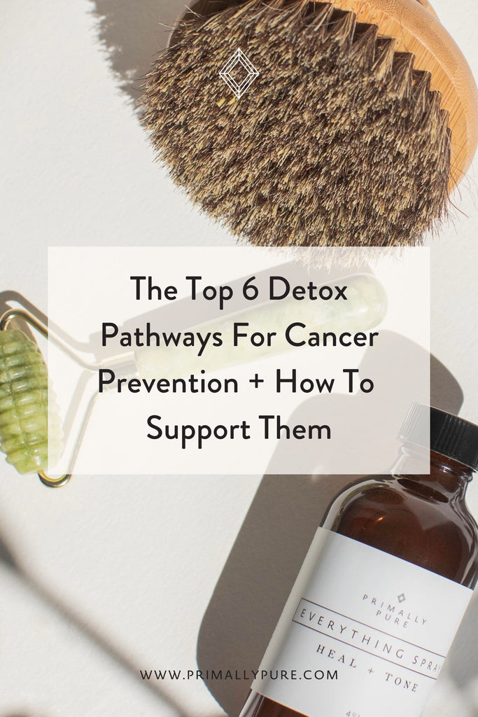 The Top 6 Detox Pathways For Cancer Prevention + How To Support Them | Primally Pure