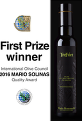 TreFòrt First Prize winner MARIO SOLINAS 2016 award