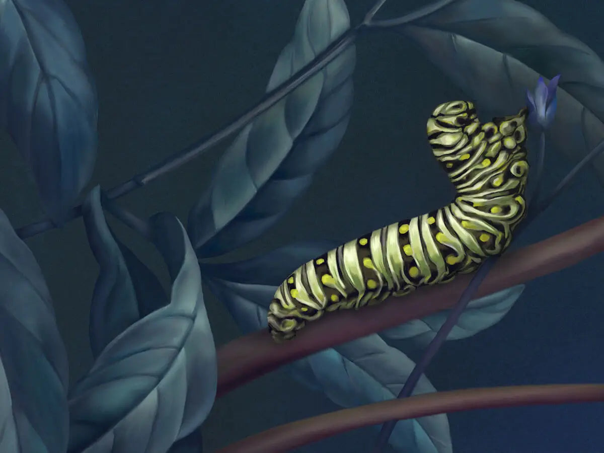 Caterpillar on leave