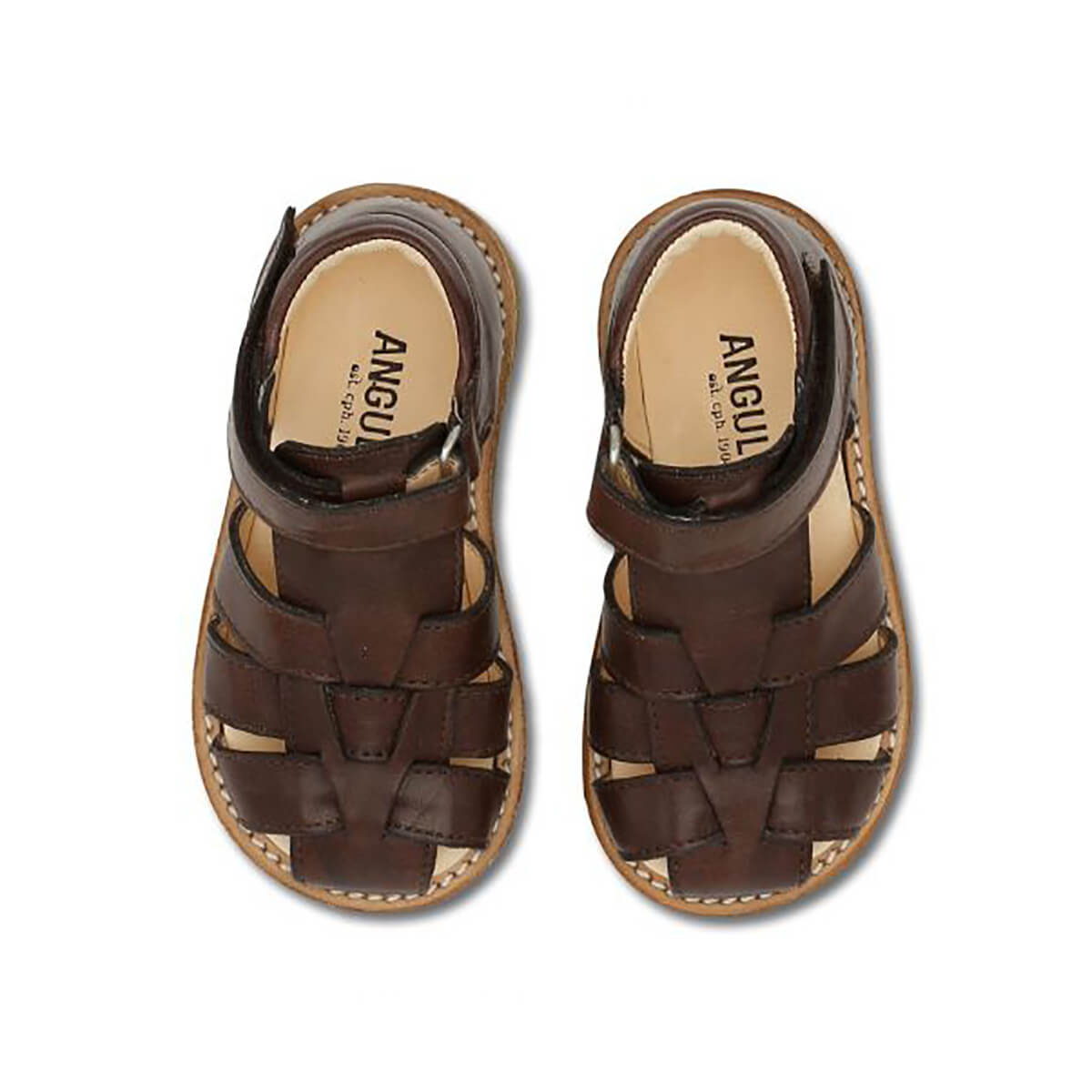 Fisherman Sandals in Angulus Brown by – Edition
