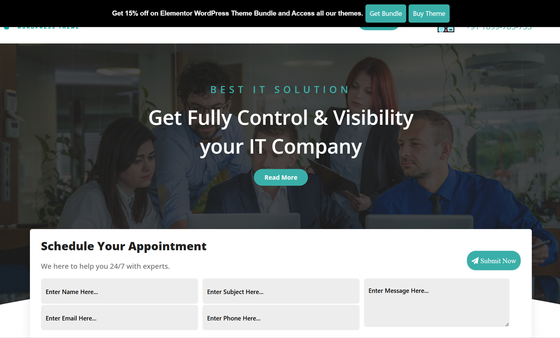 Software WordPress Theme