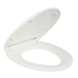 Recreational VEhicle Toilet Seat Replacement