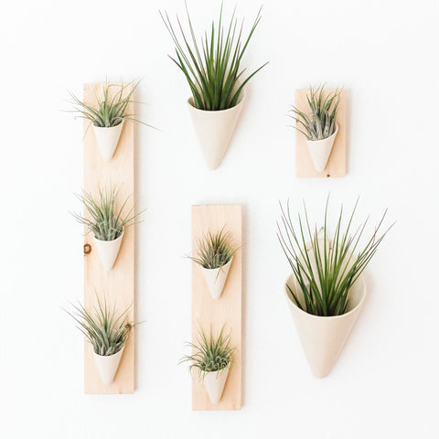 wall planter