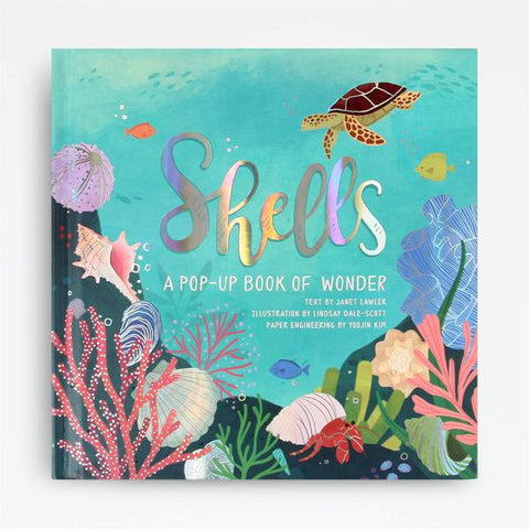 Shells Nautical  Pop-Up Book | Frankie & Claude