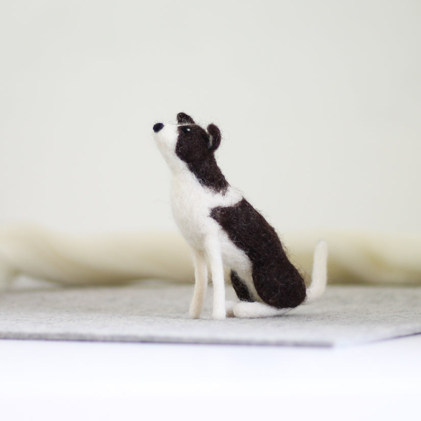 Barn Owl Needle Felting Kit - Intermediate – Grey Fox Felting