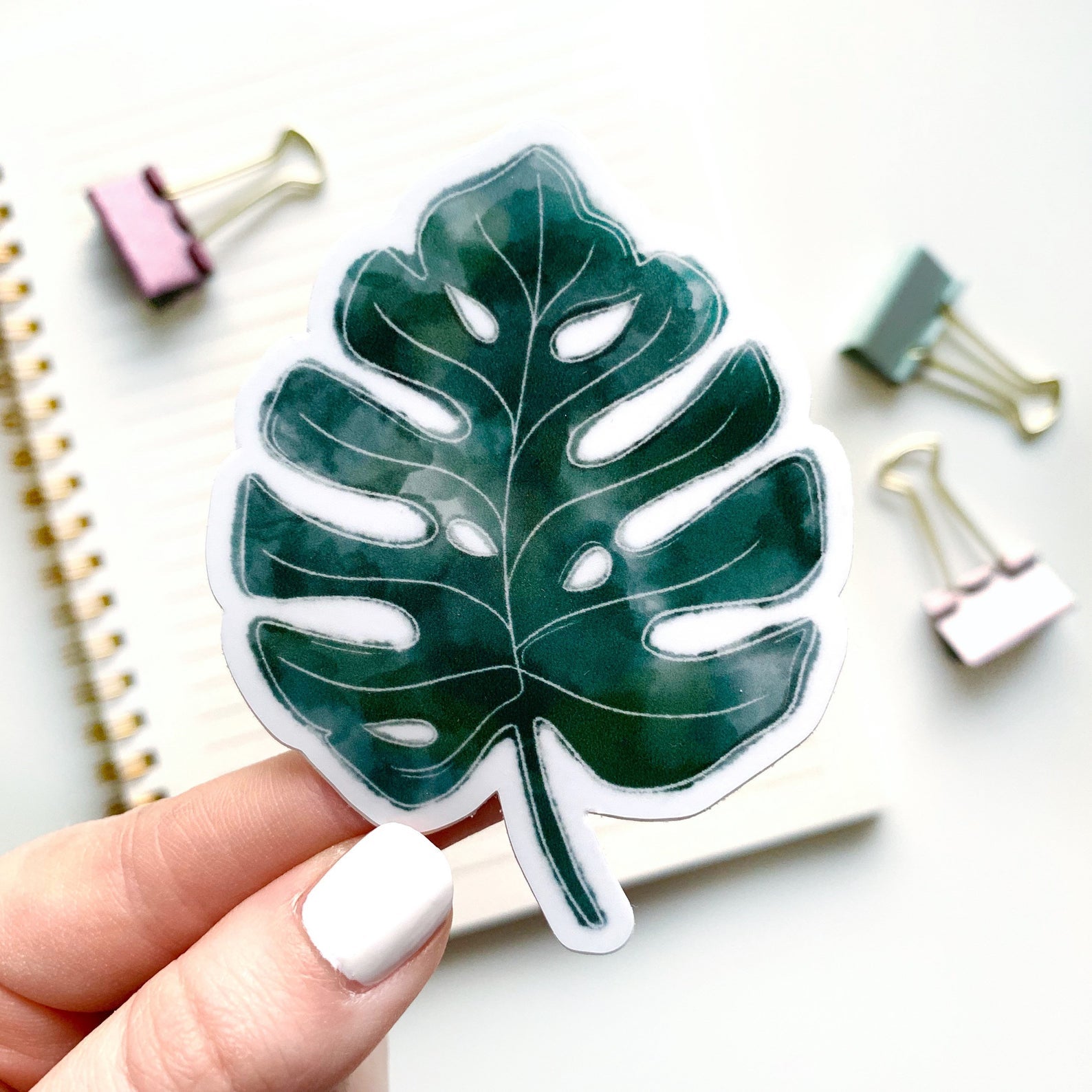 Watercolor Monstera Sticker