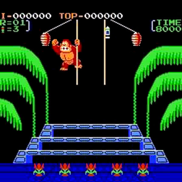 knautilus donkey kong 3