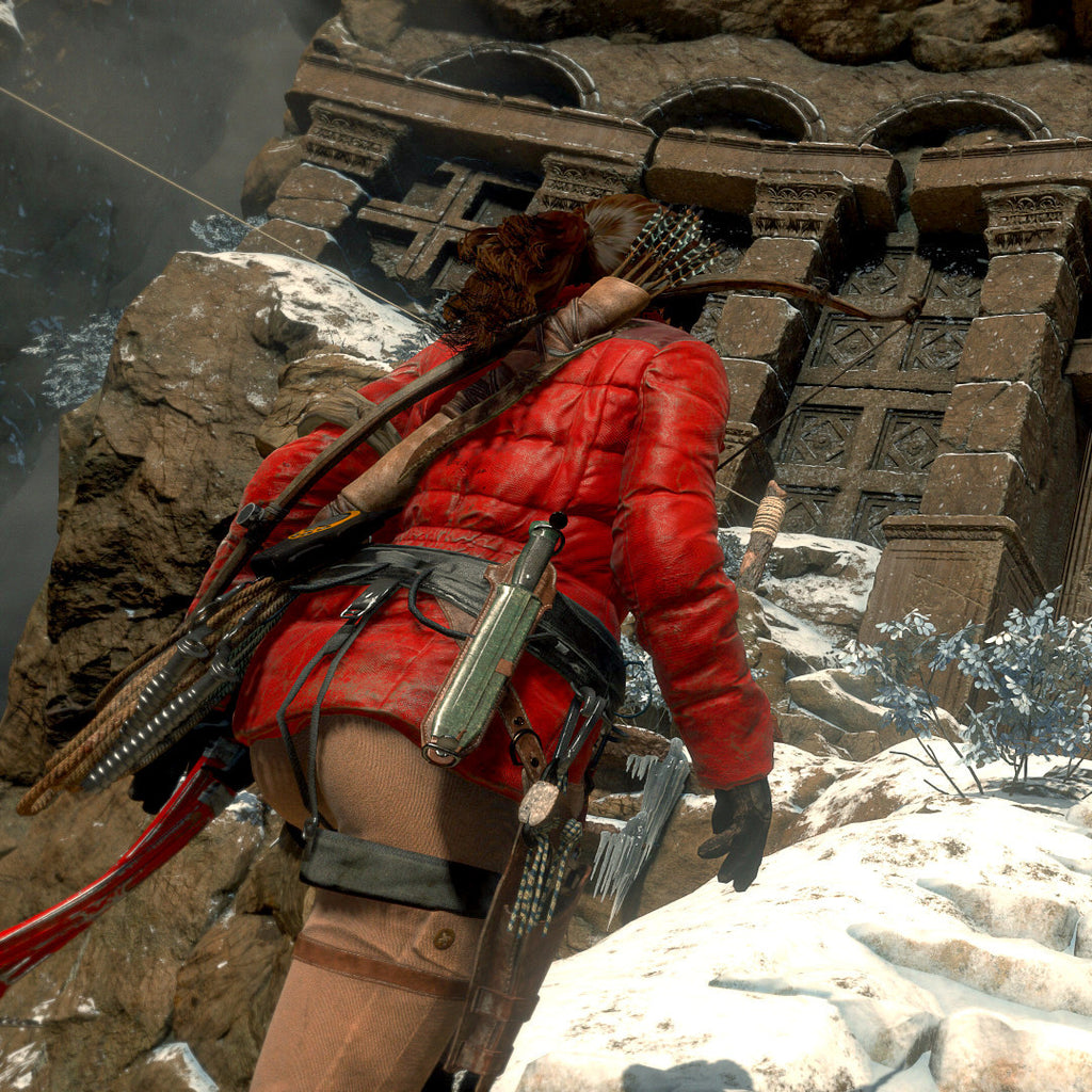 Buy Rise of the Tomb Raider: 20 Year Celebration PC Game ...