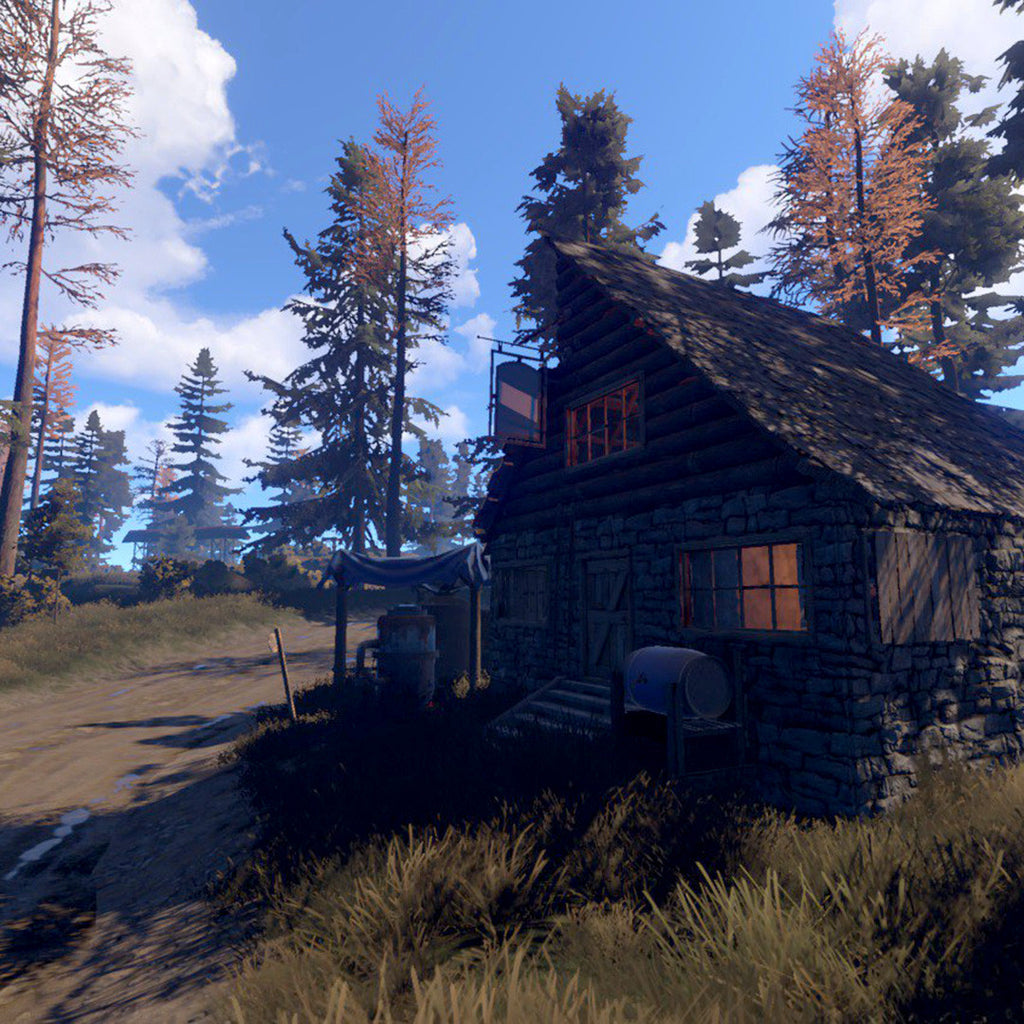 rust price pc