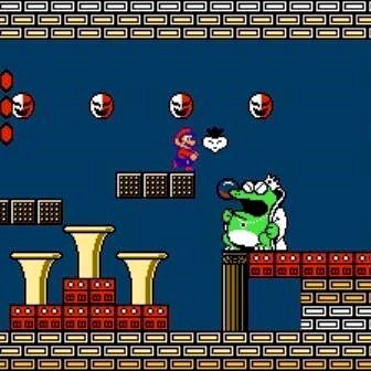 super mario bros 2 online play