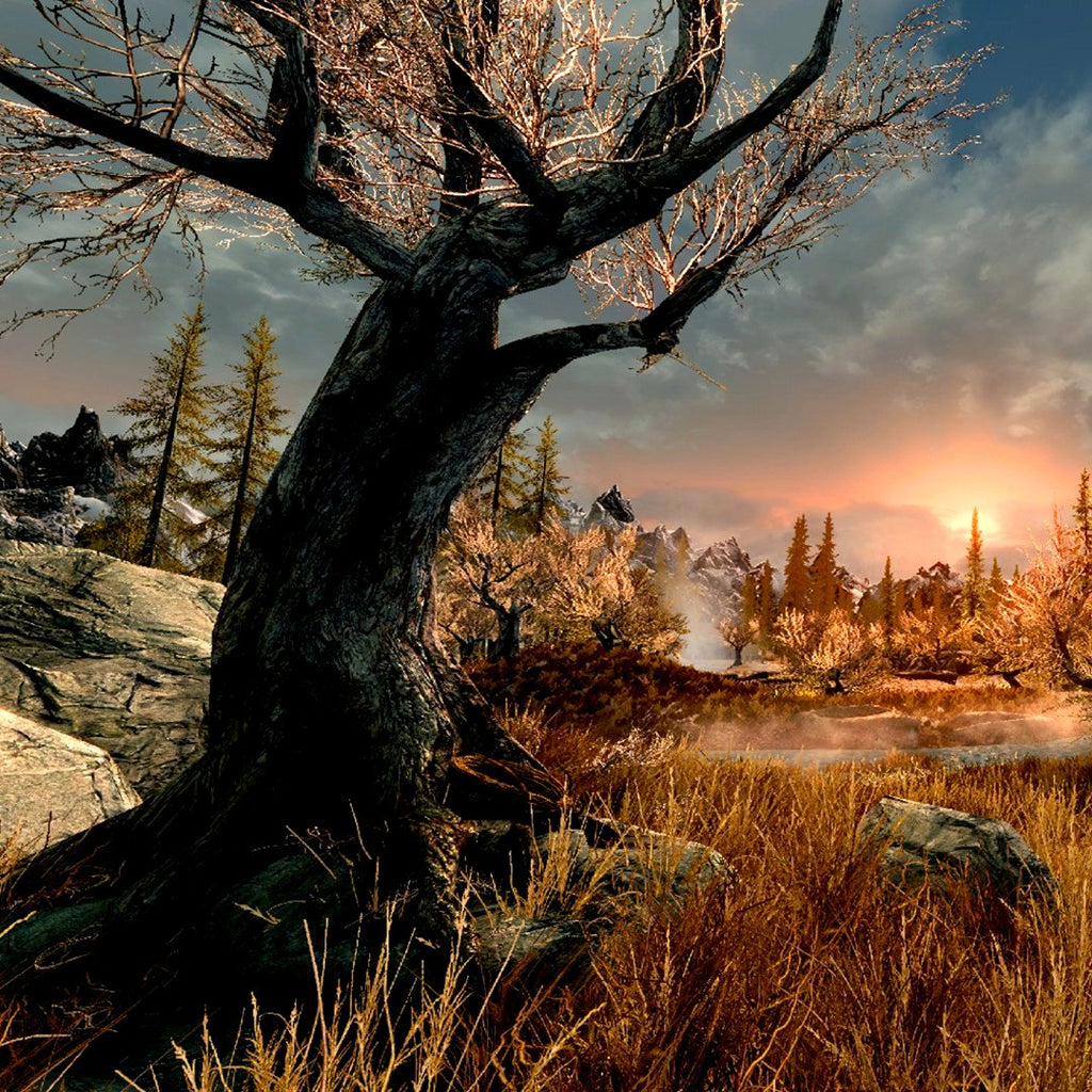 elder scrolls skyrim pc download key free download