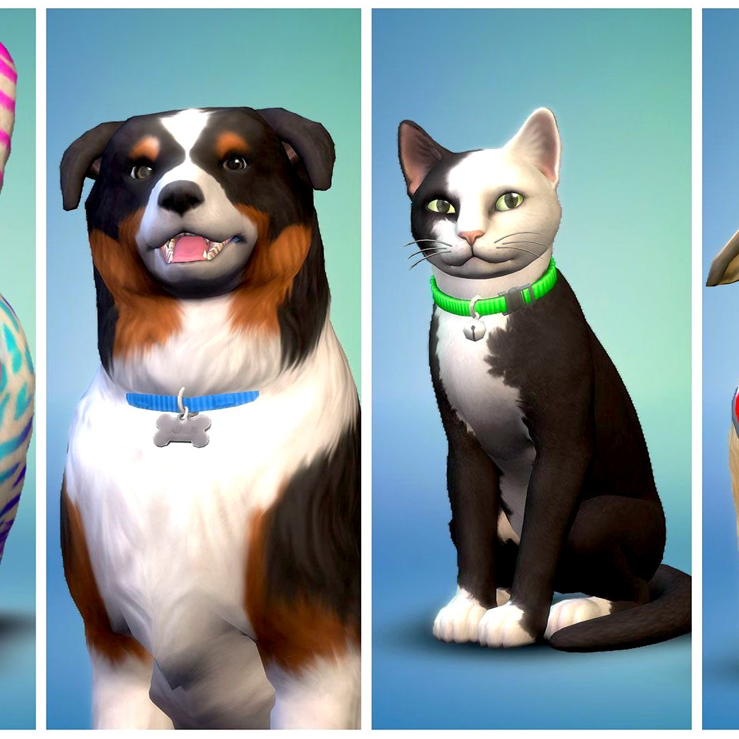 the sims 4 cats and dogs activation key