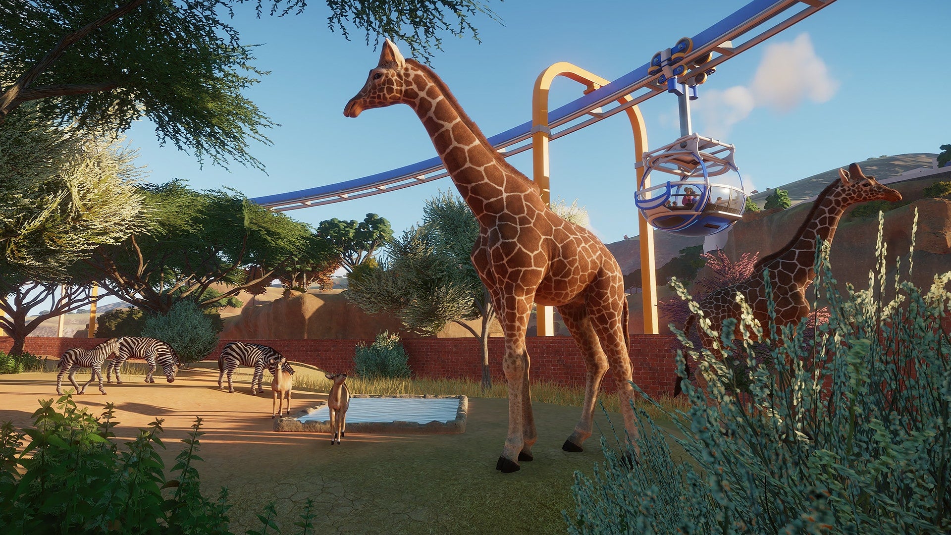 free download planet zoo for mac