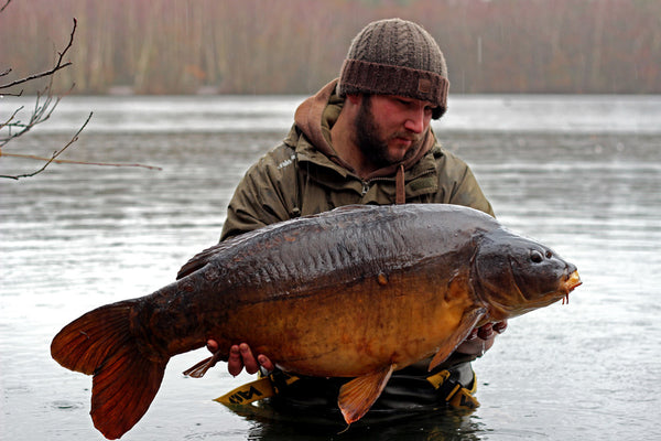 Liam returning a superb Sandhurst lake mirror to its watery home - he used a ronnie rig with a Size 4 Duropoint Curve shank to land the impressive fish